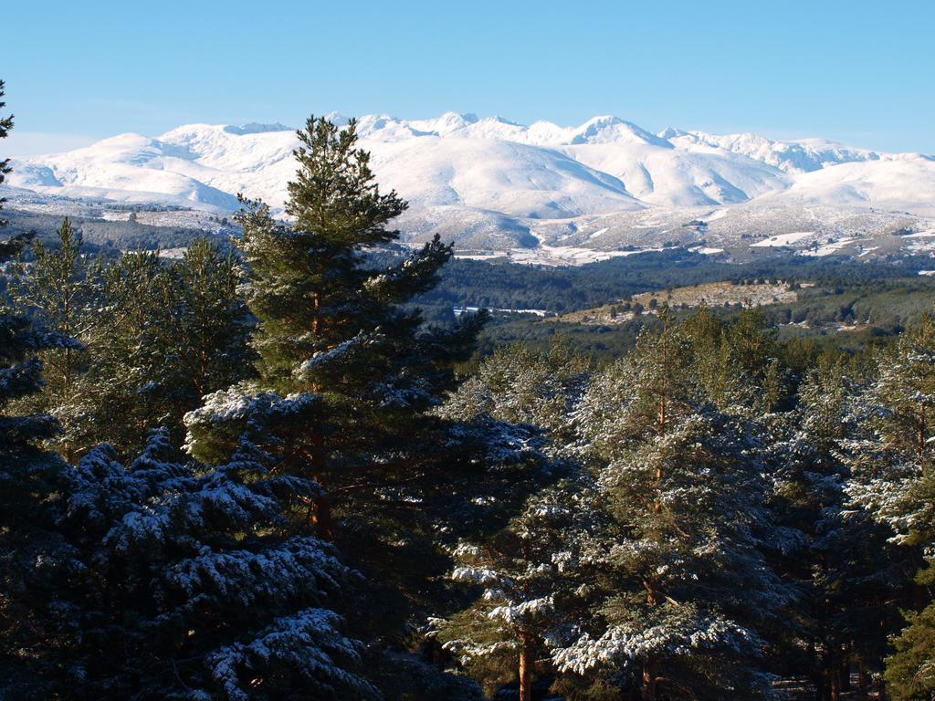 Parador De Gredos Наварредонда-де-Ґредос Номер фото